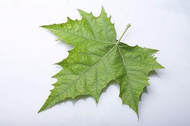 《战锤40K：暗潮》21分钟实机 9月14日发售